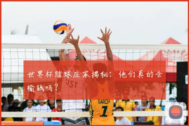 世界杯赌球庄家揭秘：他们真的会输钱吗？