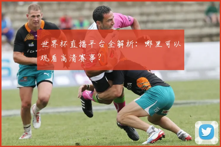 世界杯直播平台全解析：哪里可以观看高清赛事？
