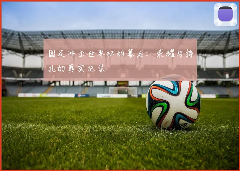 国足冲击世界杯的幕后：荣耀与挣扎的真实记录
