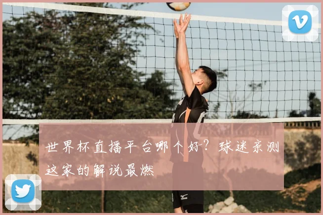 世界杯直播平台哪个好？球迷亲测这家的解说最燃
