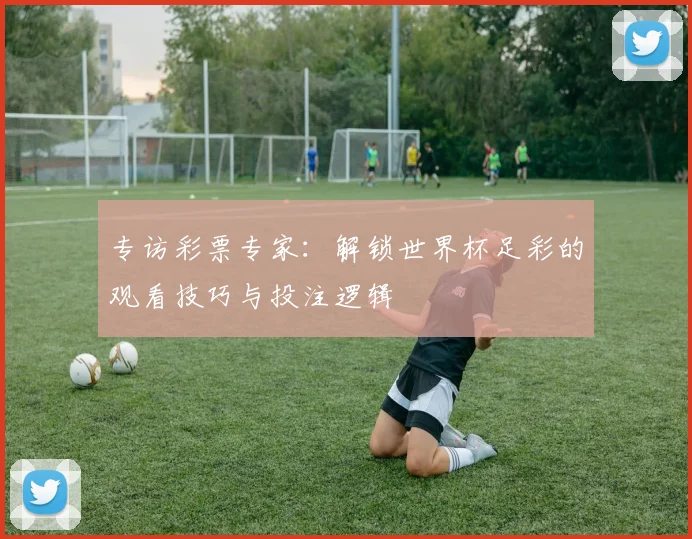 专访彩票专家:解锁世界杯足彩的观看技巧与投注逻辑