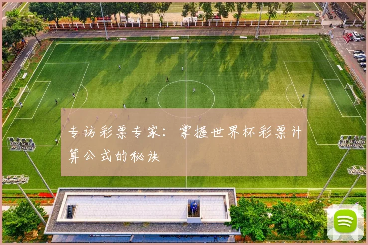 专访彩票专家:掌握世界杯彩票计算公式的秘诀