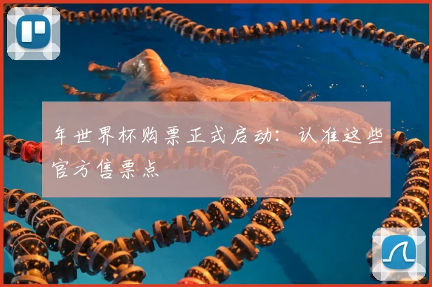 年世界杯购票正式启动:认准这些官方售票点
