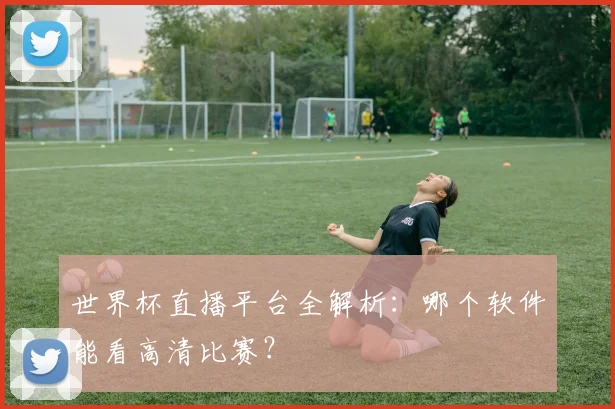 世界杯直播平台全解析：哪个软件能看高清比赛？