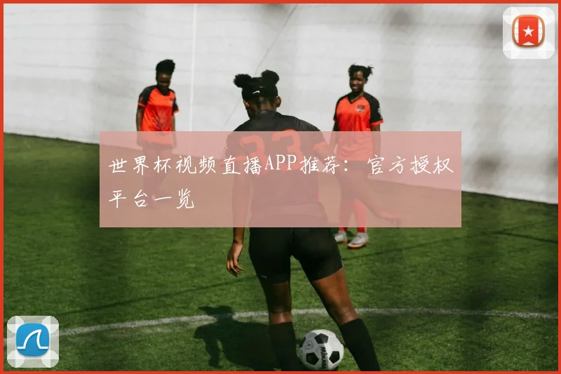 世界杯视频直播APP推荐:官方授权平台一览